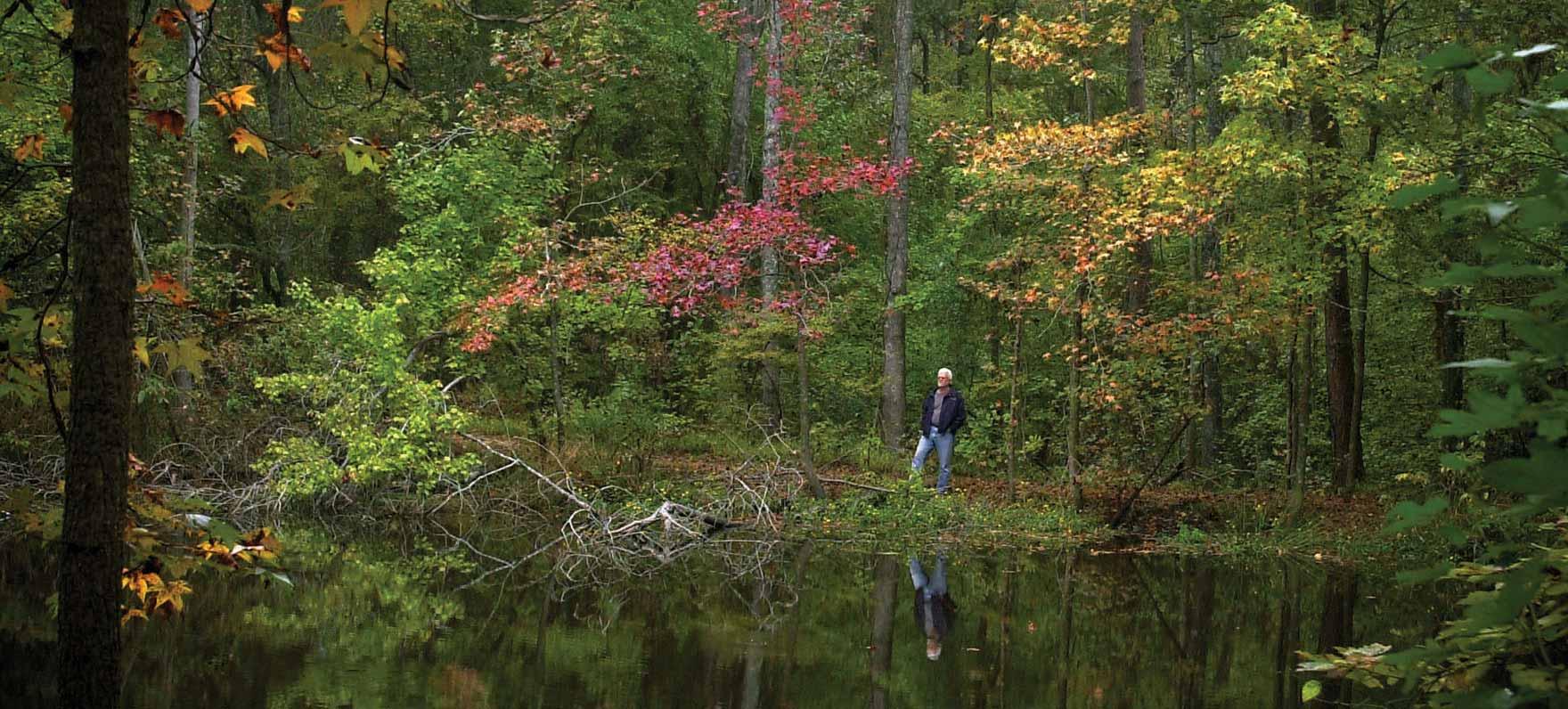Campground Details Lake Bob Sandlin State Park, TX Texas State Parks